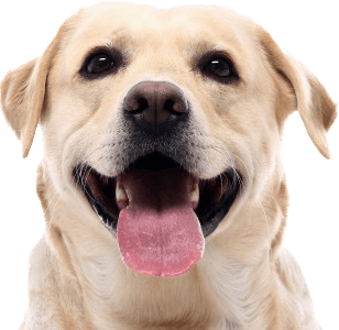 ซื้อสินค้าในร้านค้าและ
โรงพยาบาลสัตว์ในราคาสมาชิก