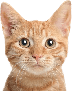 บริการส่งสินค้าฟรีถึง
หน้าบ้านตลอดอายุประกัน