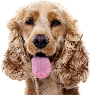 สิทธิ์ส่วนลดคูปอง
พิเศษจากทาง TQM