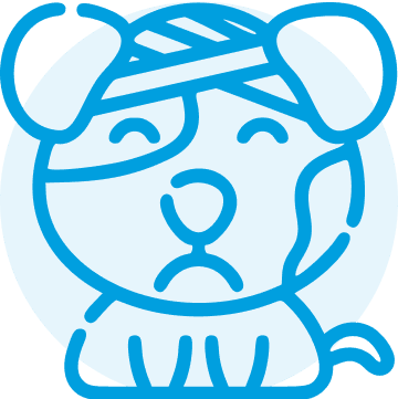 เจ็บป่วย ไม่สบาย