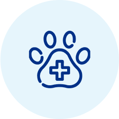 เสียชีวิตจากอุบัติเหตุ