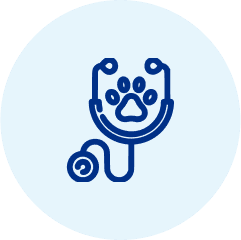 เสียชีวิตจากการเจ็บป่วย