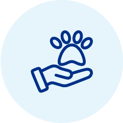 ค่ารับฝากเลี้ยง กรณีเจ้าของไปต่างประเทศ