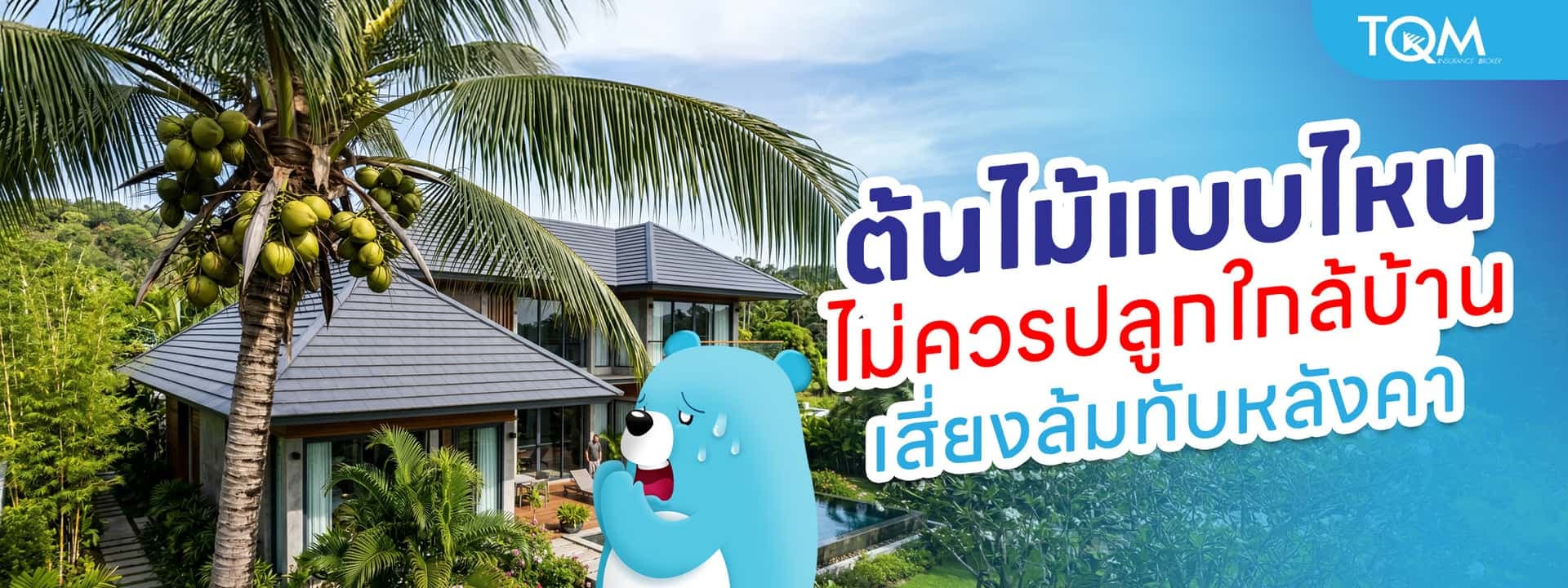 ต้นไม้แบบไหน ไม่ควรปลูกใกล้บ้าน เสี่ยงล้มทับหลังคา