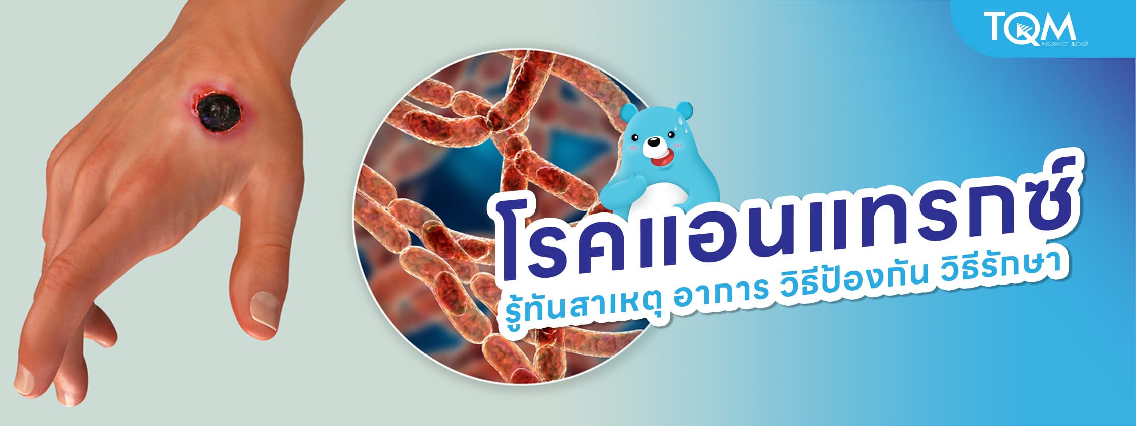 โรคแอนแทรกซ์ คืออะไร? รู้ทันสาเหตุ อาการและวิธีป้องกันไม่ให้ติดต่อ