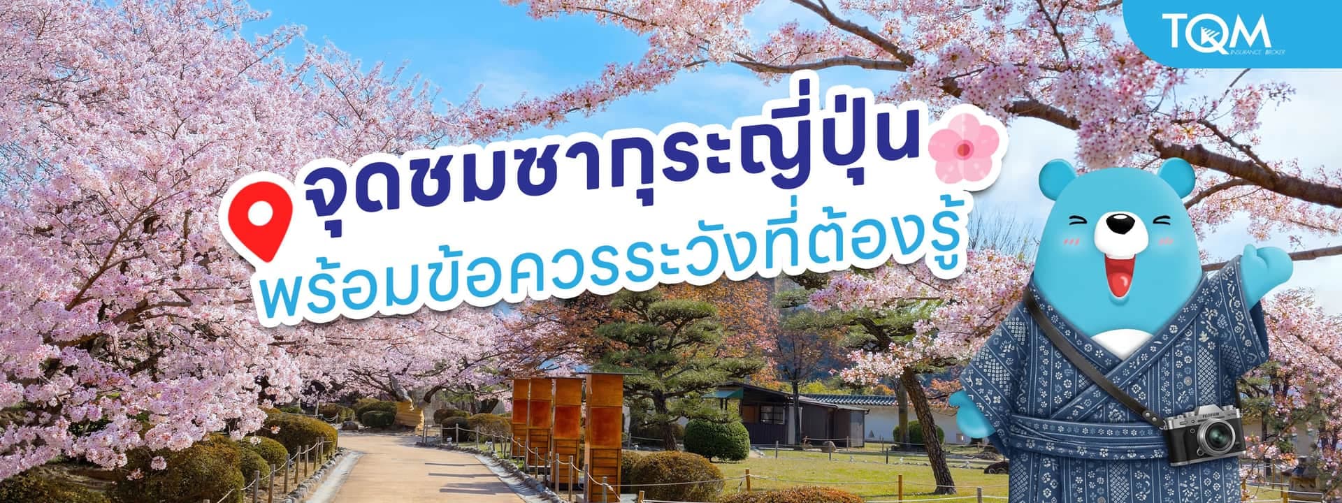 รวมจุดชมซากุระญี่ปุ่น 2026 แต่ละเมือง พร้อมข้อควรระวังที่ควรรู้