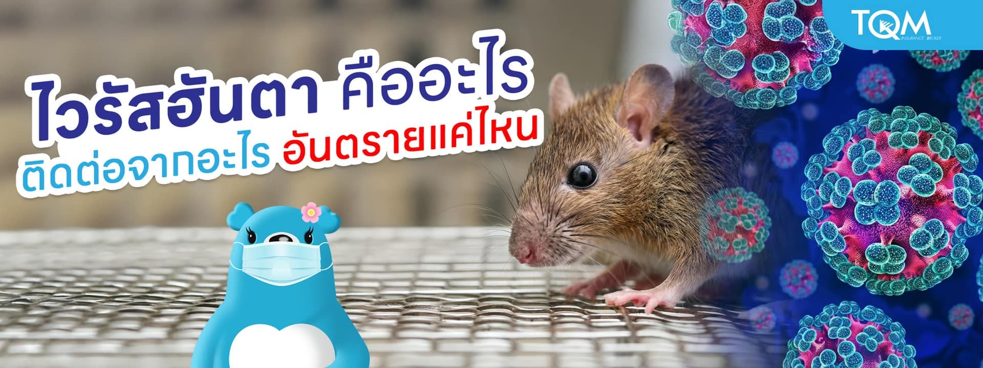 ไวรัสฮันตา คืออะไร ติดต่อจากอะไร อันตรายแค่ไหน พร้อมวิธีป้องกัน
