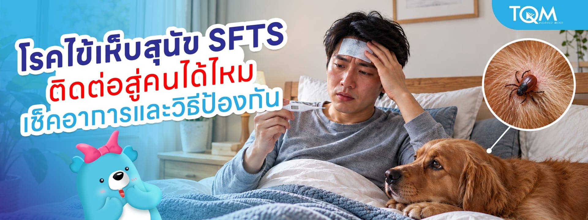 โรคไข้เห็บสุนัข SFTS ติดต่อคนได้ไหม เช็คอาการและวิธีป้องกัน