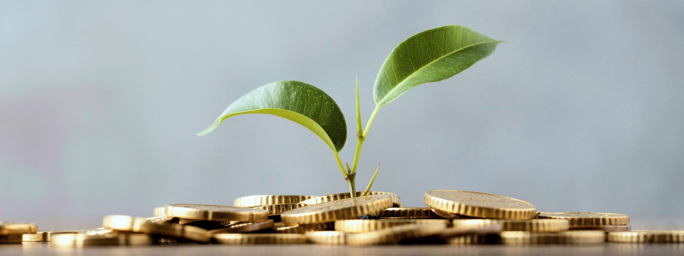 ประกันชีวิตแบบสะสมทรัพย์