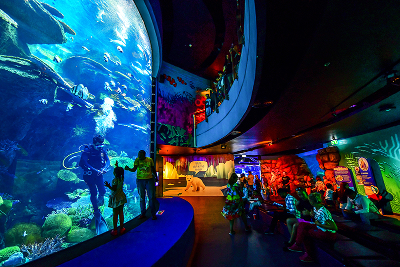 ที่เที่ยววันเด็ก Ocean World