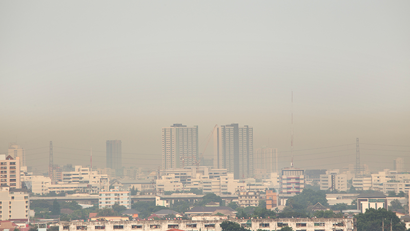  PM 2.5