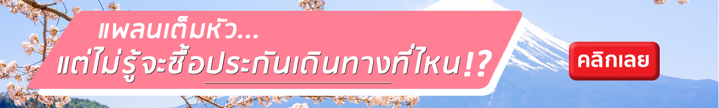 ประกันเดินทาง
