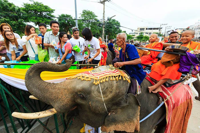 มหกรรมแห่เทียนพรรษาและตักบาตรบนหลังช้าง จังหวัดสุรินทร์