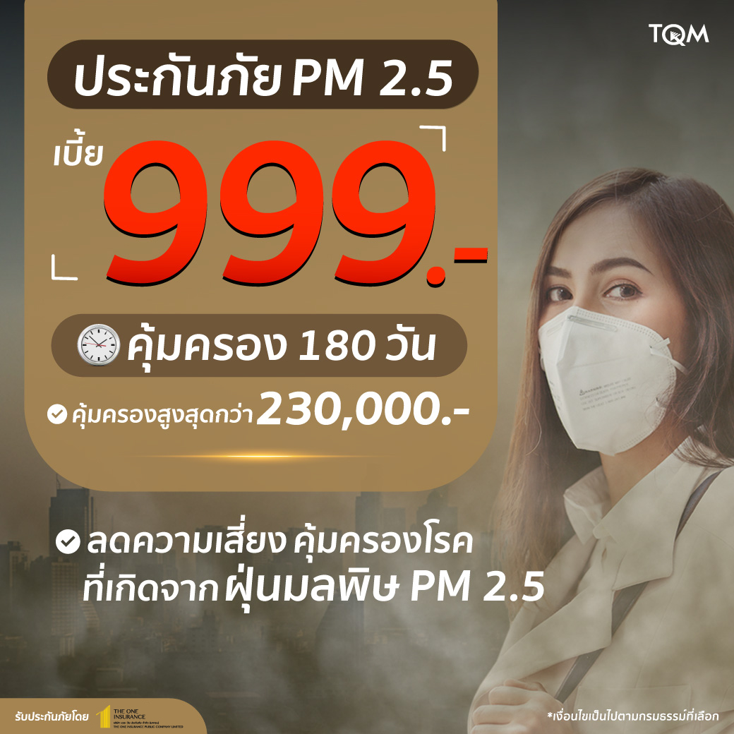 ประกันภัย PM 2.5