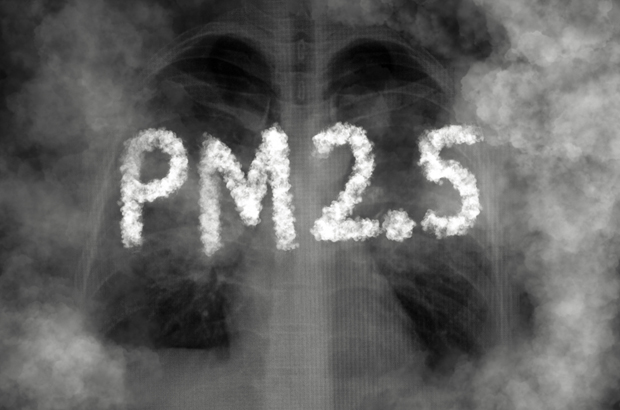 มะเร็งปอด PM2.5